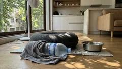 Botella congelada cerca de su cama: cuándo ayuda de verdad a tu gato en días de calor (y cuándo preocuparse)